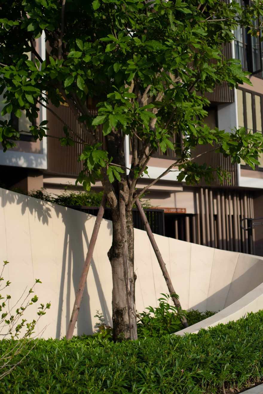 泰国 Kawa Haus 社区 | 竹子与水的慢生活艺术-11