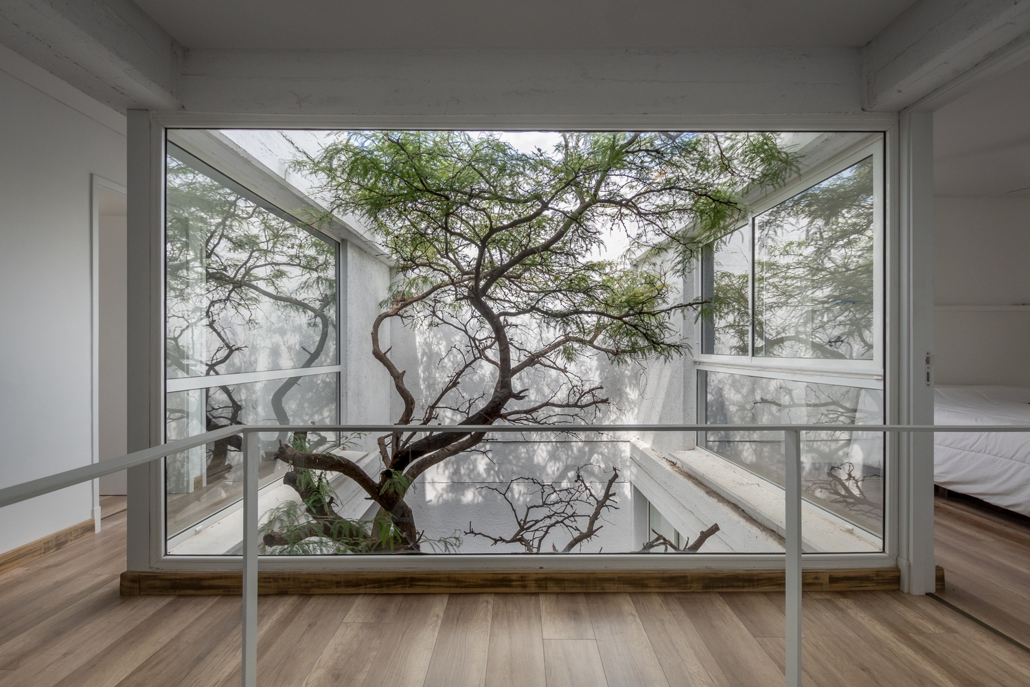 阿根廷卡尔博树的现代建筑设计丨阿根廷科尔多瓦丨BALDIO ARQUITECTURA-26