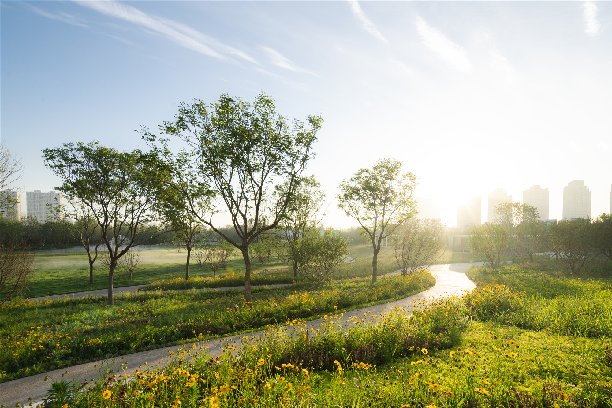 天津融创星耀五洲 9 号岛景观丨中国天津丨AECOM-20