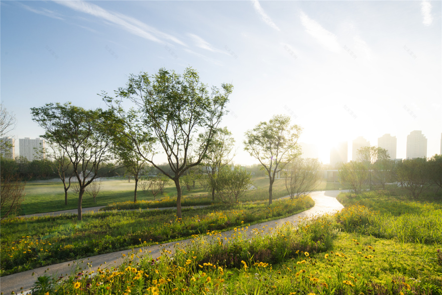 天津融创星耀五洲 9 号岛景观丨中国天津丨AECOM-20