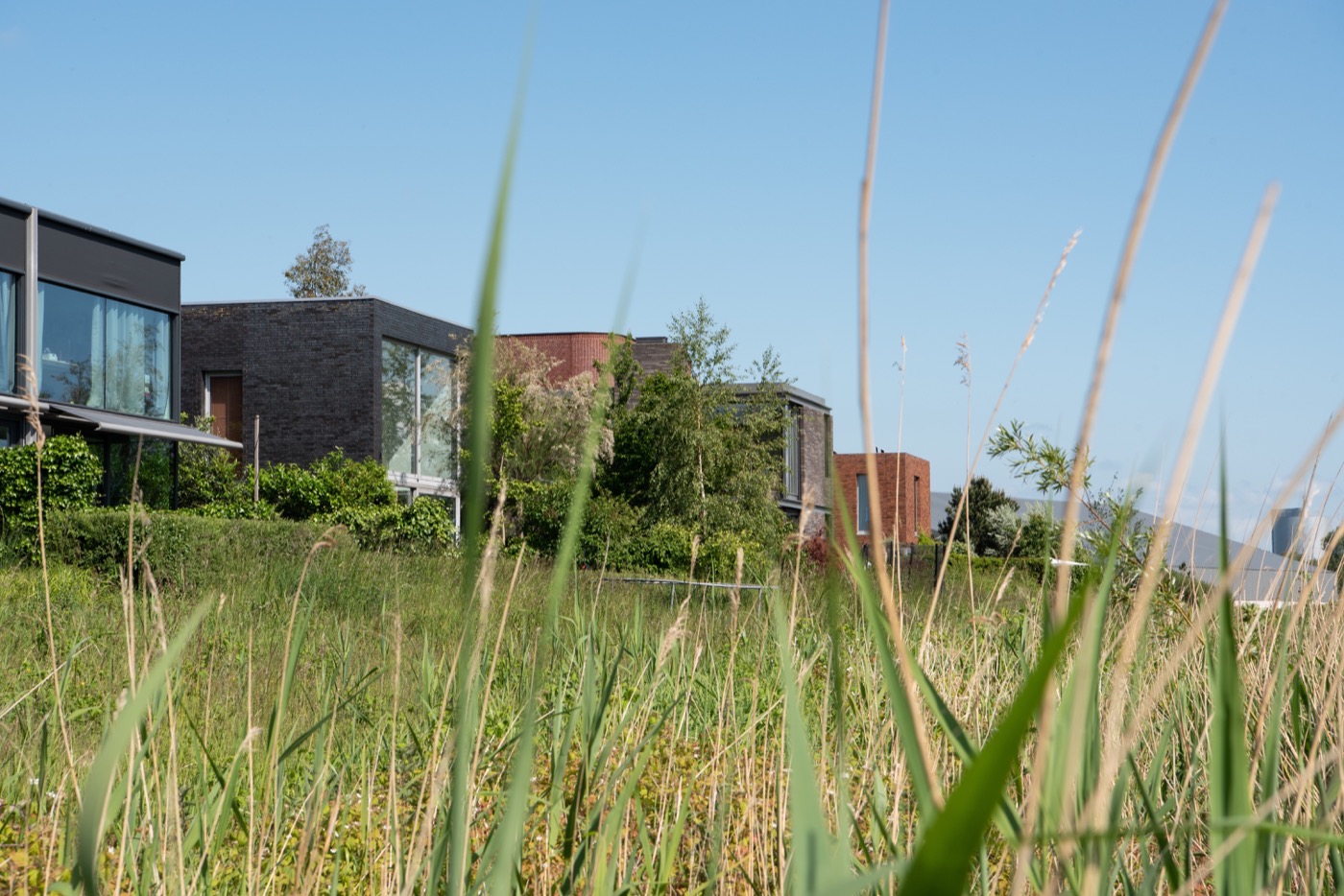 阿姆斯特丹 Rieteiland Oost 岛屿社区-10