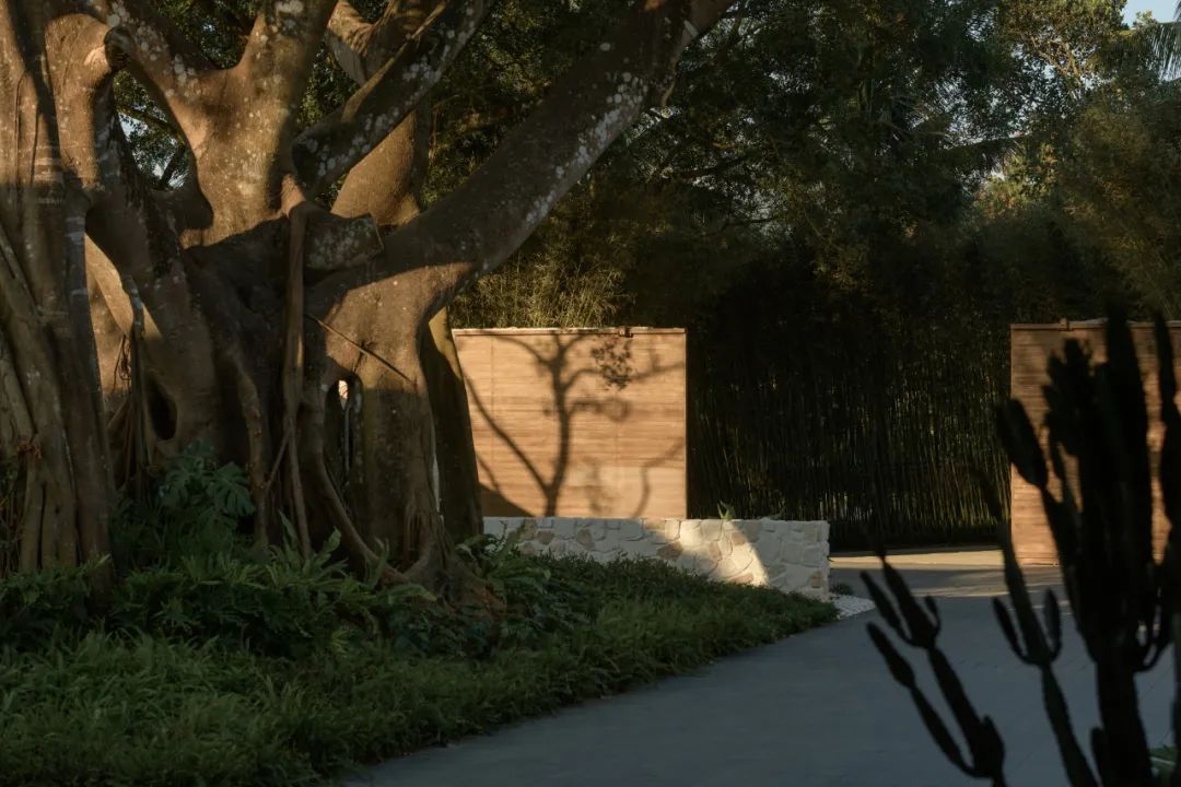 三亚野奢会所丨中国三亚丨朗道设计-32