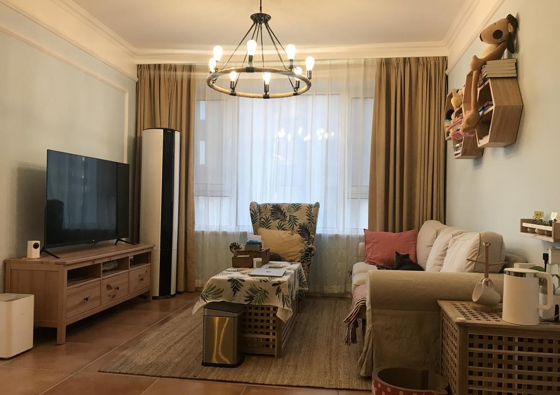 
三只猫的故事 -5