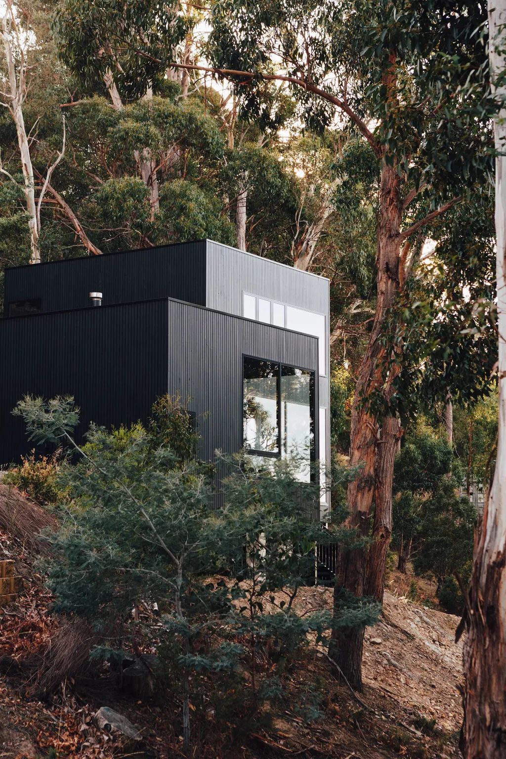 暗黑系别墅 · 光与影的协奏曲丨澳大利亚霍巴特丨Hearth 室内建筑和设计工作室-0