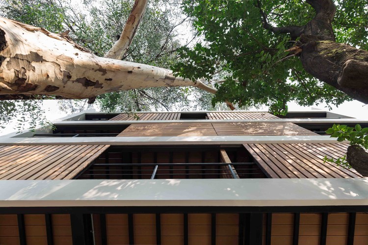 墨西哥城中心地带的里奥波 32 号住宅大楼-7