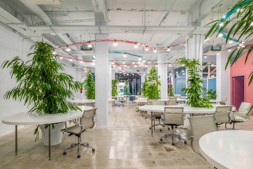 Office and Set of TV Ponyo en el Garage / Fast and Furious Production Office-33