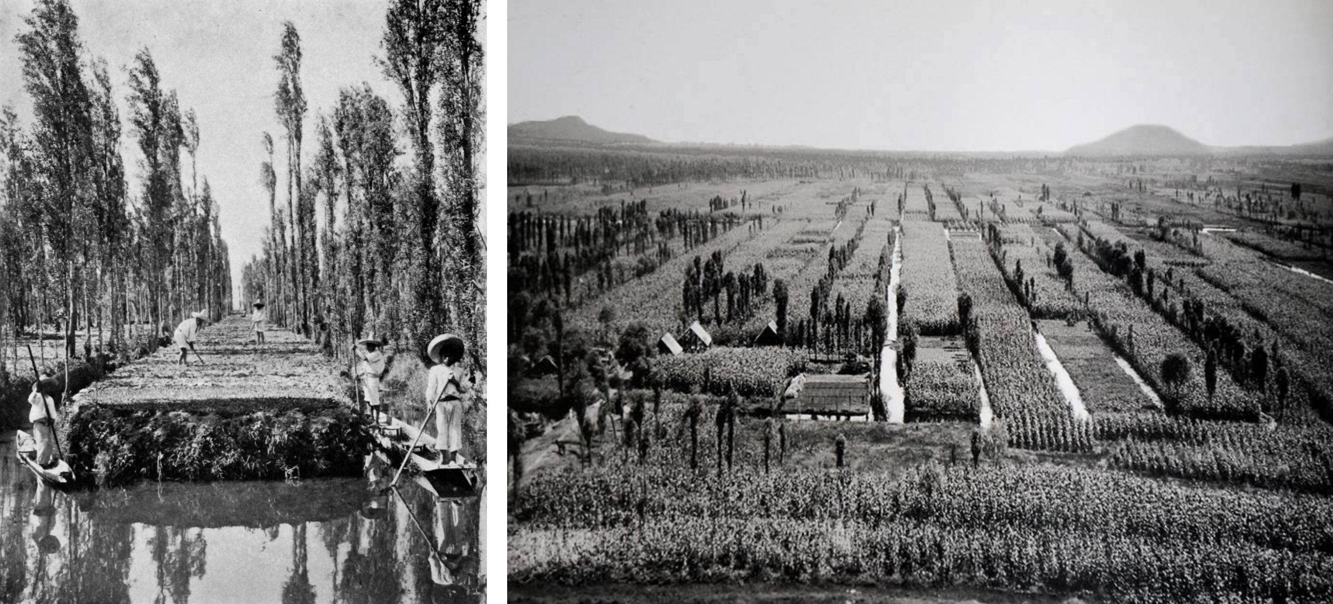 第 19 届威尼斯国际建筑双年展：墨西哥馆，探索古老农业系统的生态潜力-11