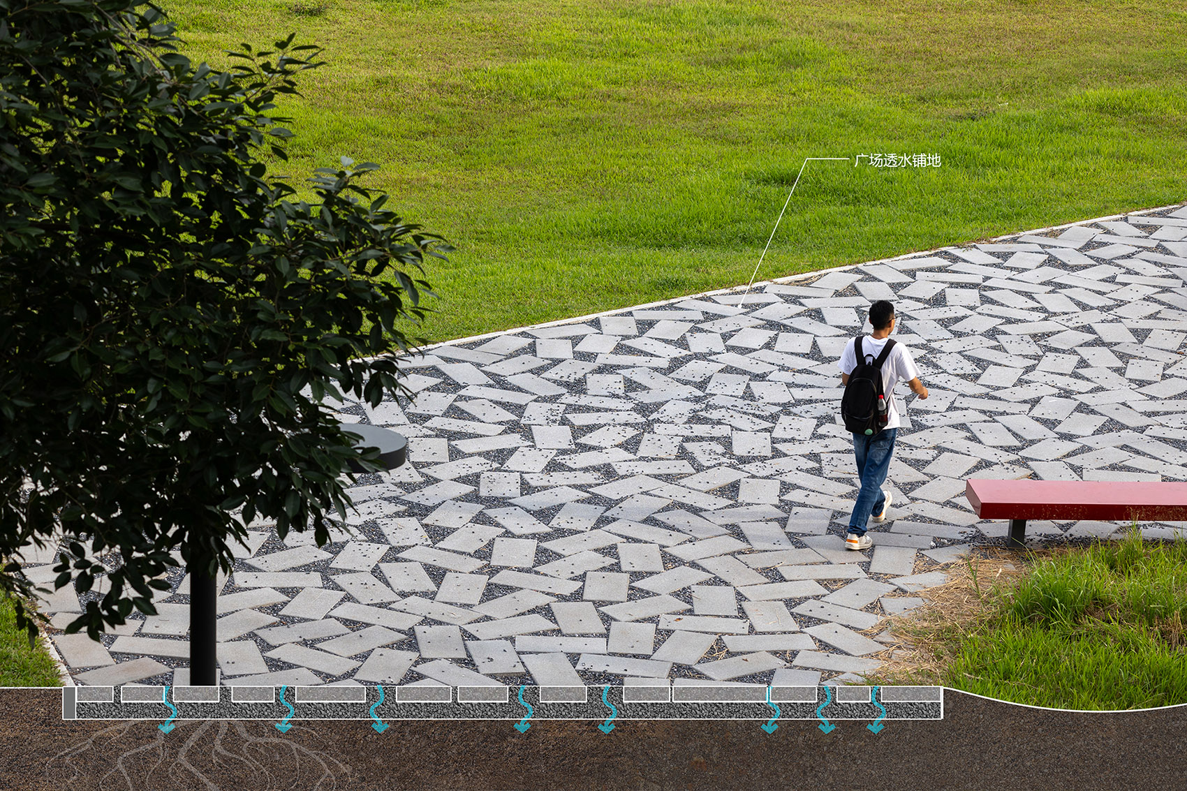 重焕生机的土地·深圳光明虹桥1958生态公园丨中国深圳丨自组空间-143