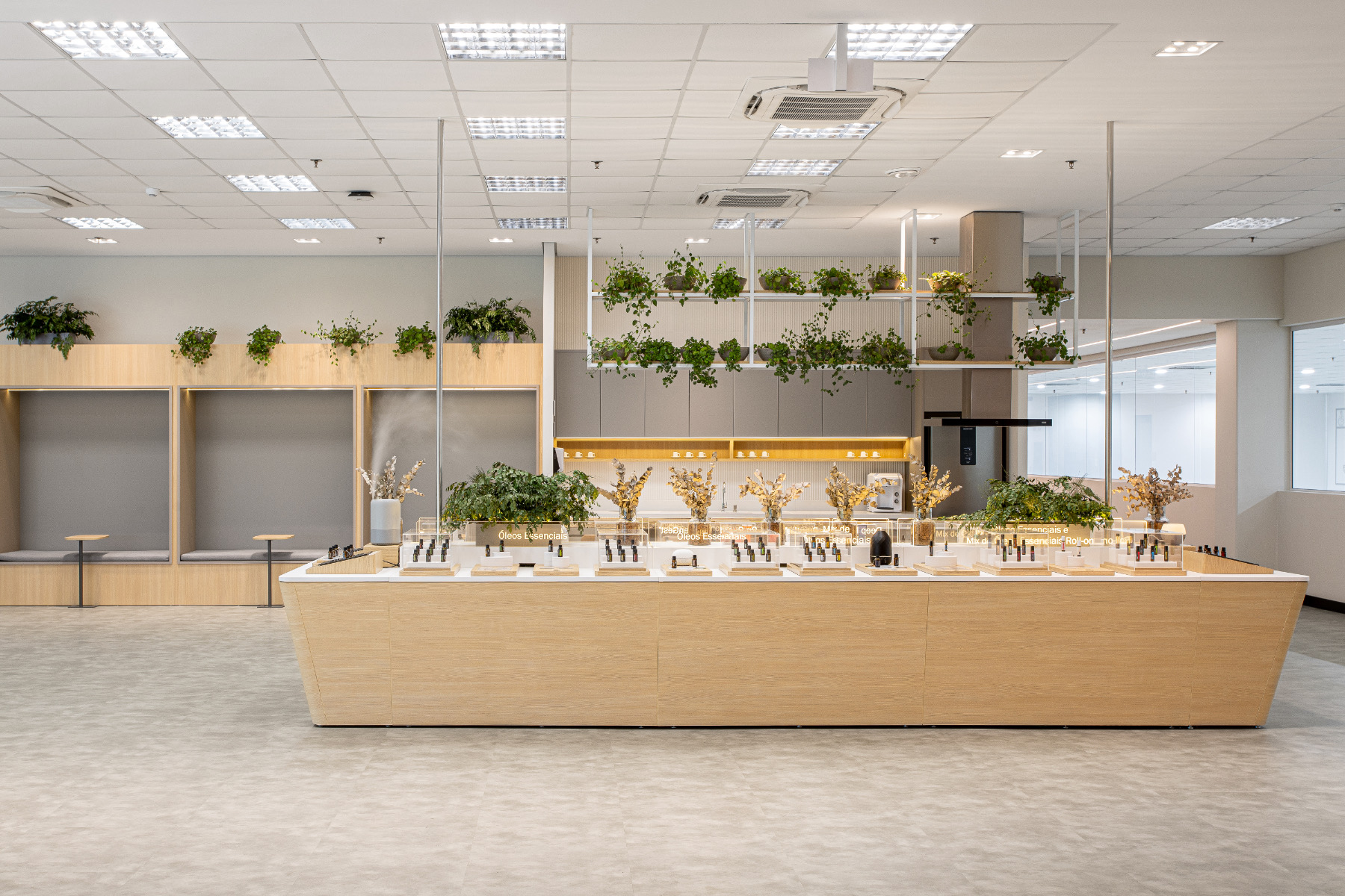 A Look Inside doTerra’s New Joinville Office - Officelovin'-3