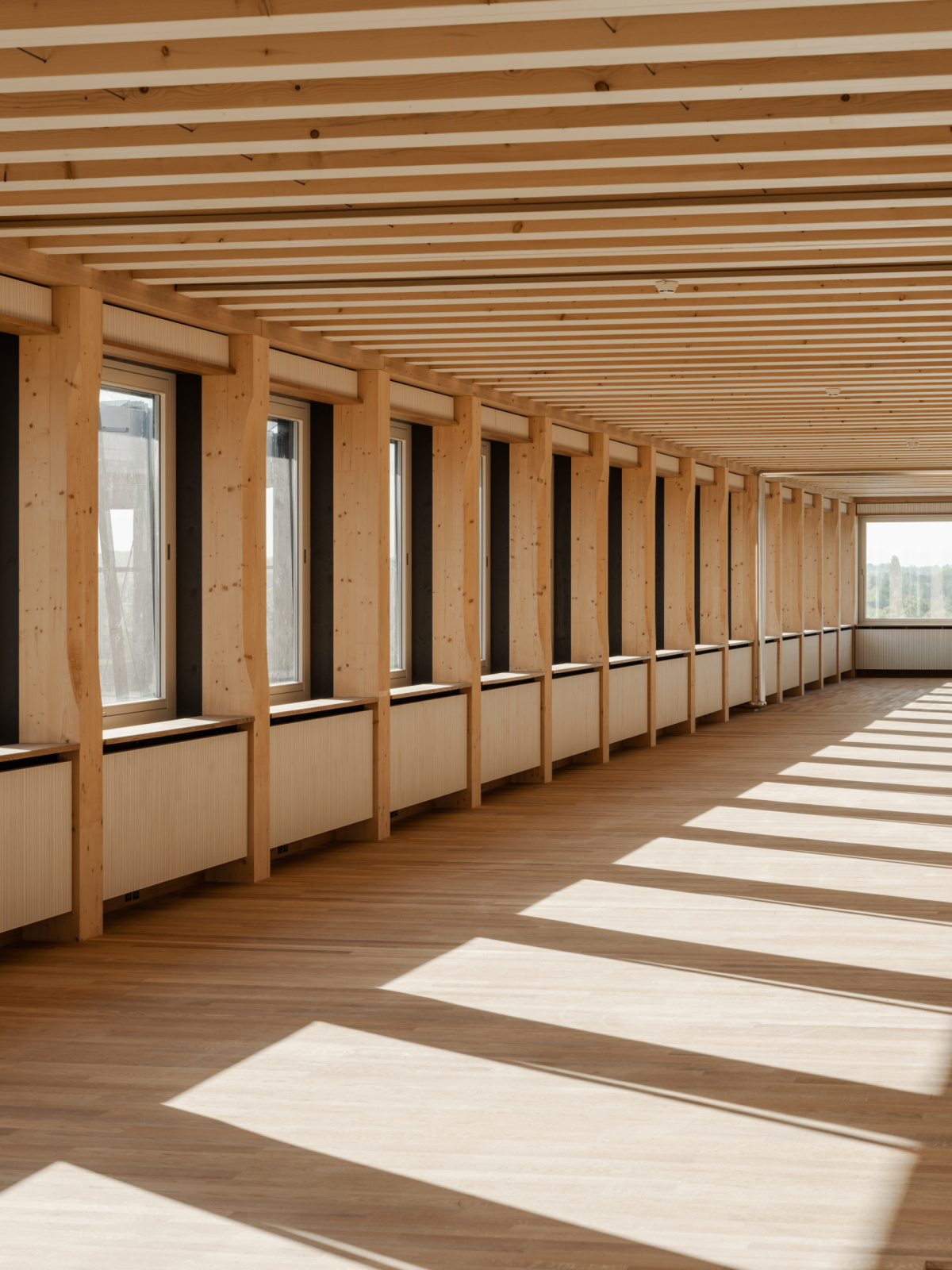 543 Hortus办公楼丨瑞士丨Herzog  de Meuron（赫尔佐格和德梅隆）-32