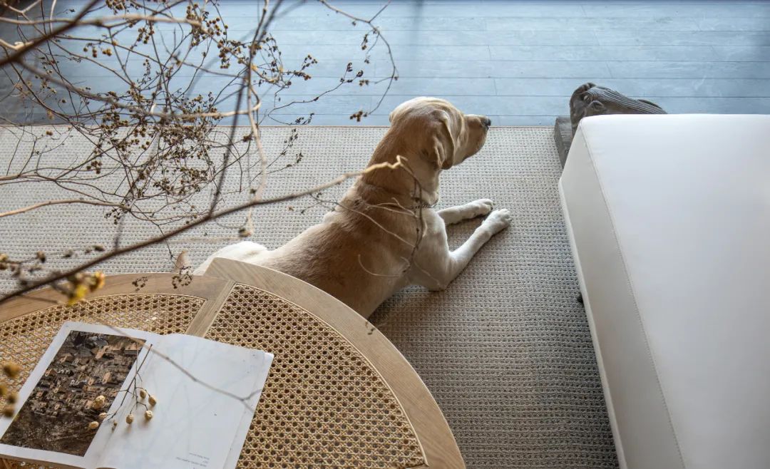 树下·山中木屋丨中国洛阳丨二合永设计-26