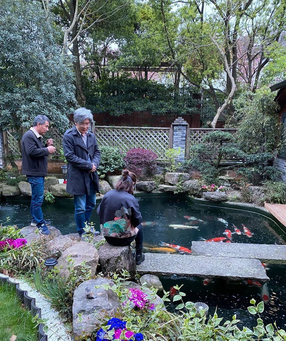 富春山居庭院改造 | 锦鲤鱼池的点睛之笔-8