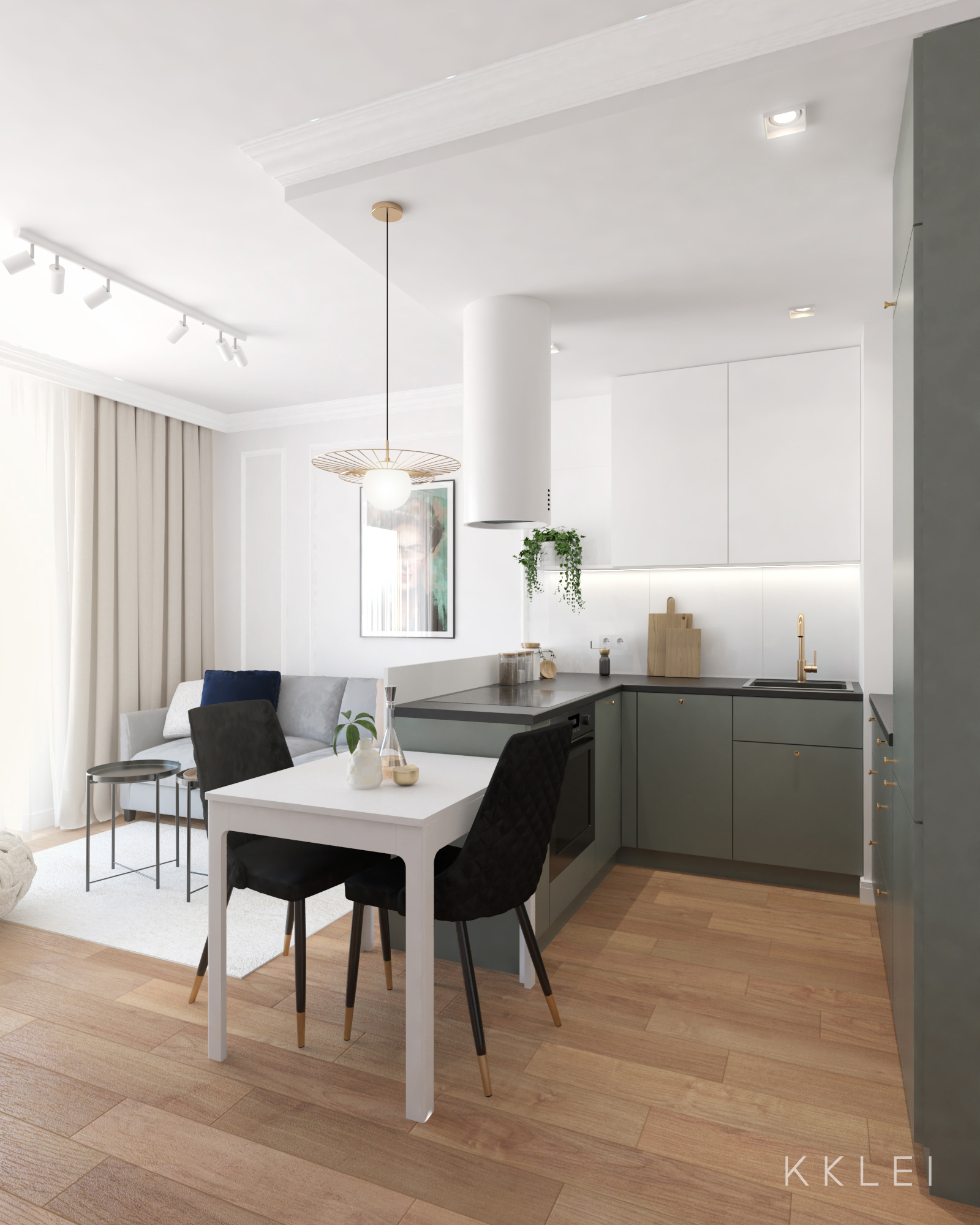 Stacja Gocławek 43 平米住宅室内设计项目丨波兰华沙-1