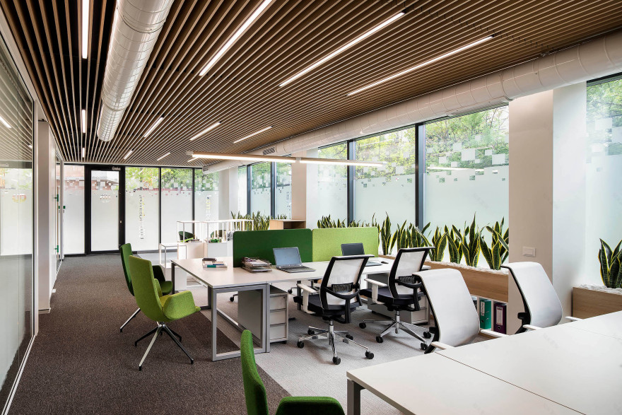 超牙办公室丨保加利亚丨Fimera Design-14