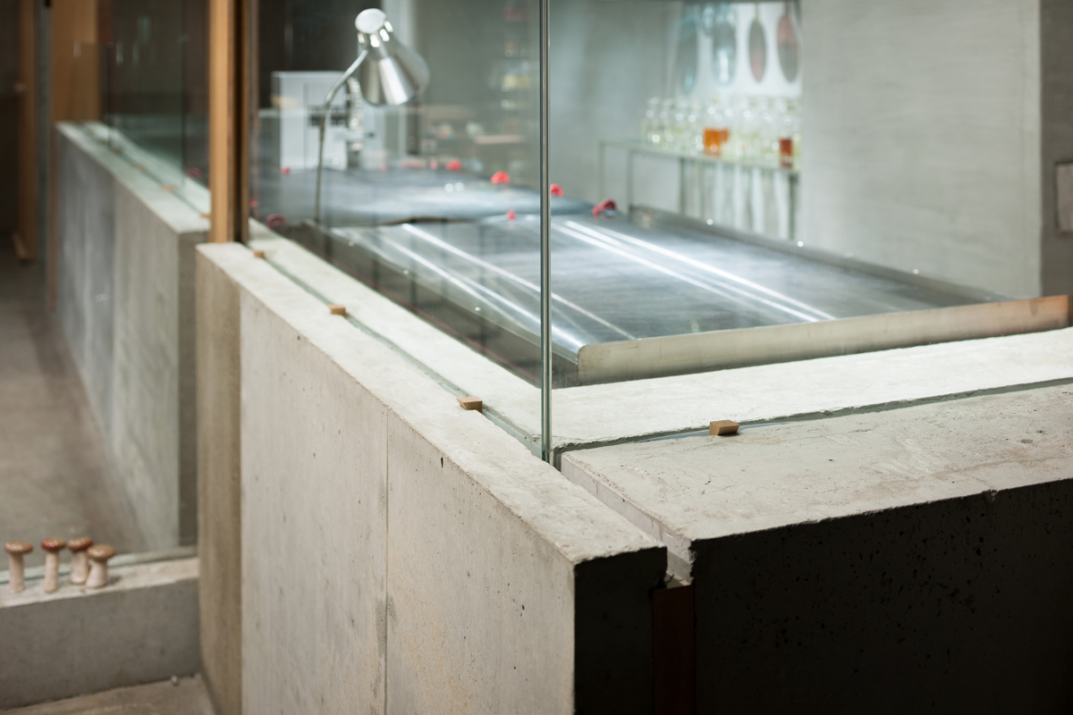 丨日本东京丨Jo Nagasaka/Schemata Architects-1