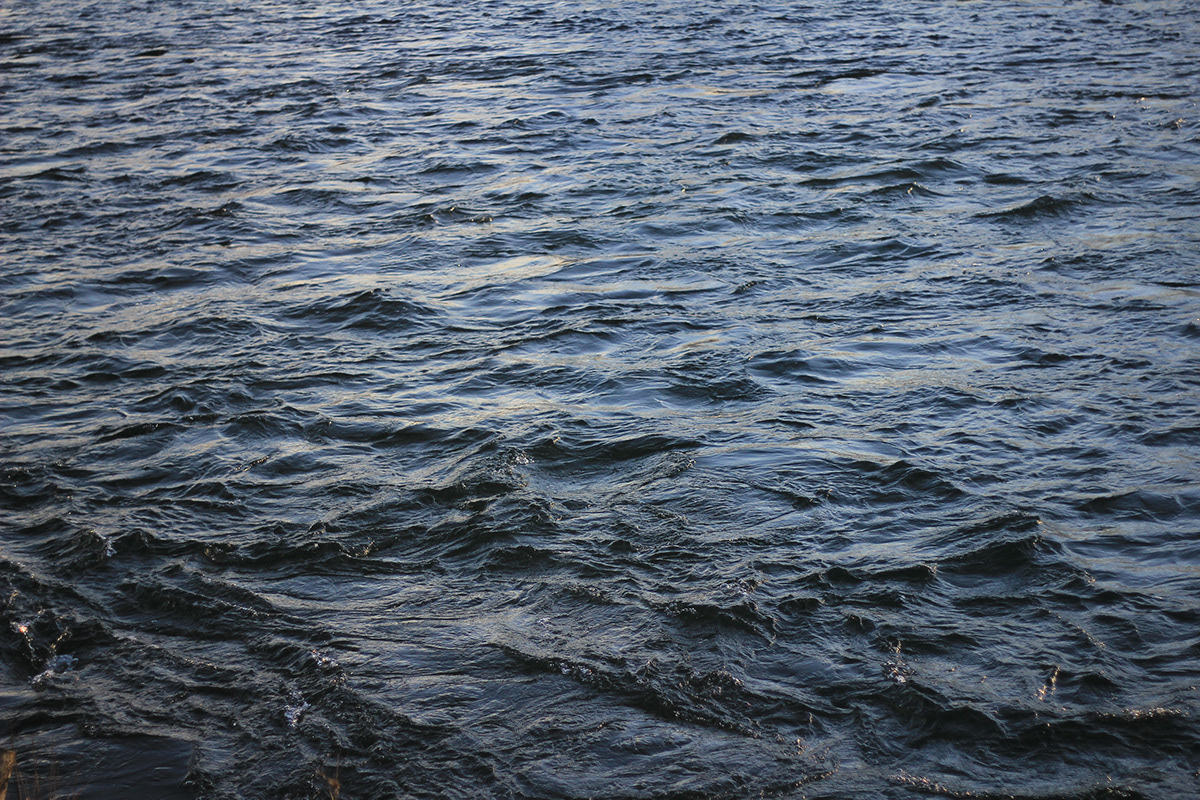 NATURA URBANA · 绿色自然的城市生活丨意大利米兰丨Francesca Teresa Quaranta-11