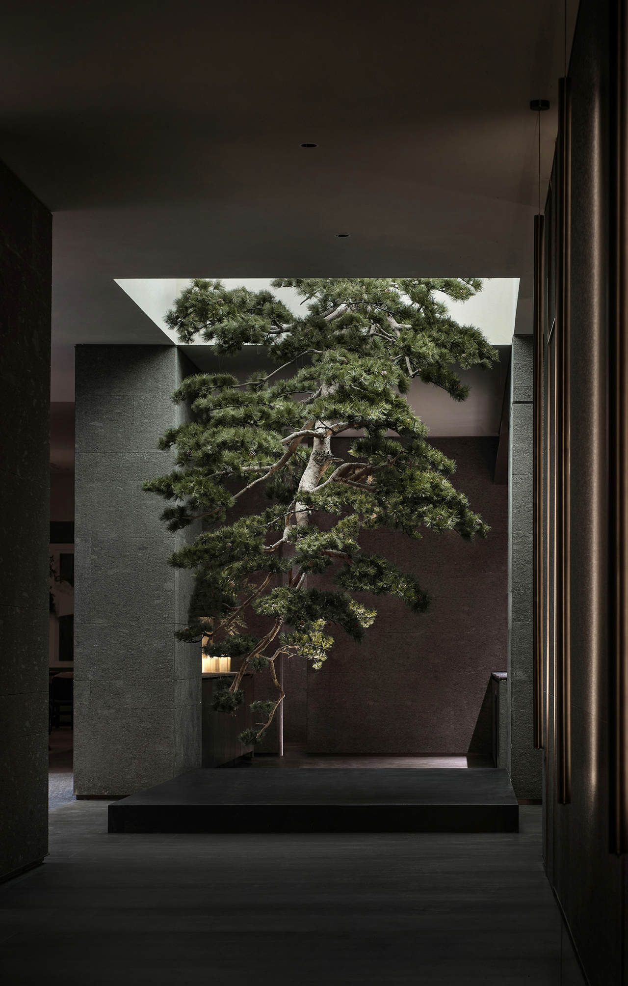 栖霞建设南京G35地块星叶半山玥府丨中国南京丨上海飞视设计-0