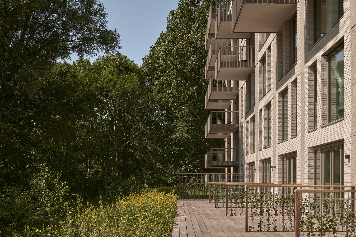 荷兰 Den Haag Leyhof 公寓丨荷兰海牙-20