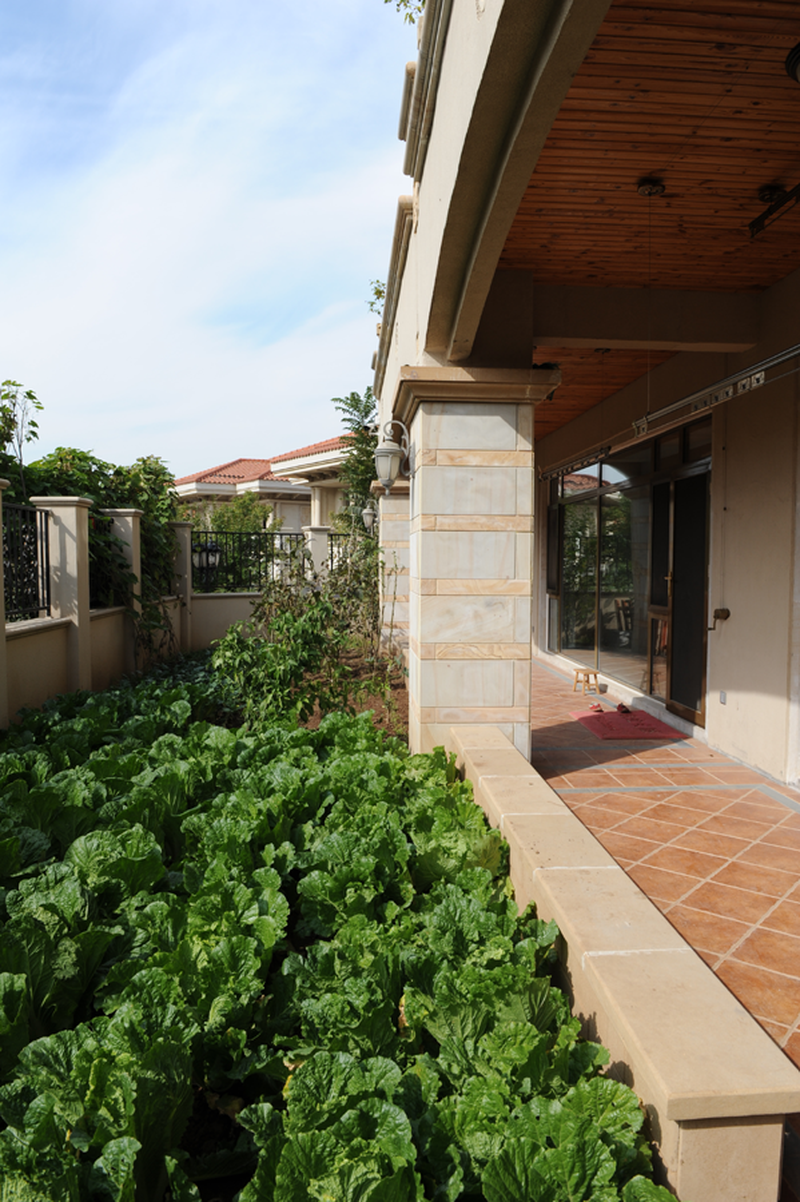 九號院别墅丨萨尔瓦多滨海-21