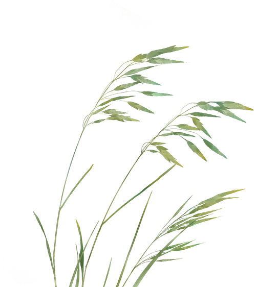 向下扎根,向上生长|非遗芦苇画教室:一所小学的校园文化新生态-8