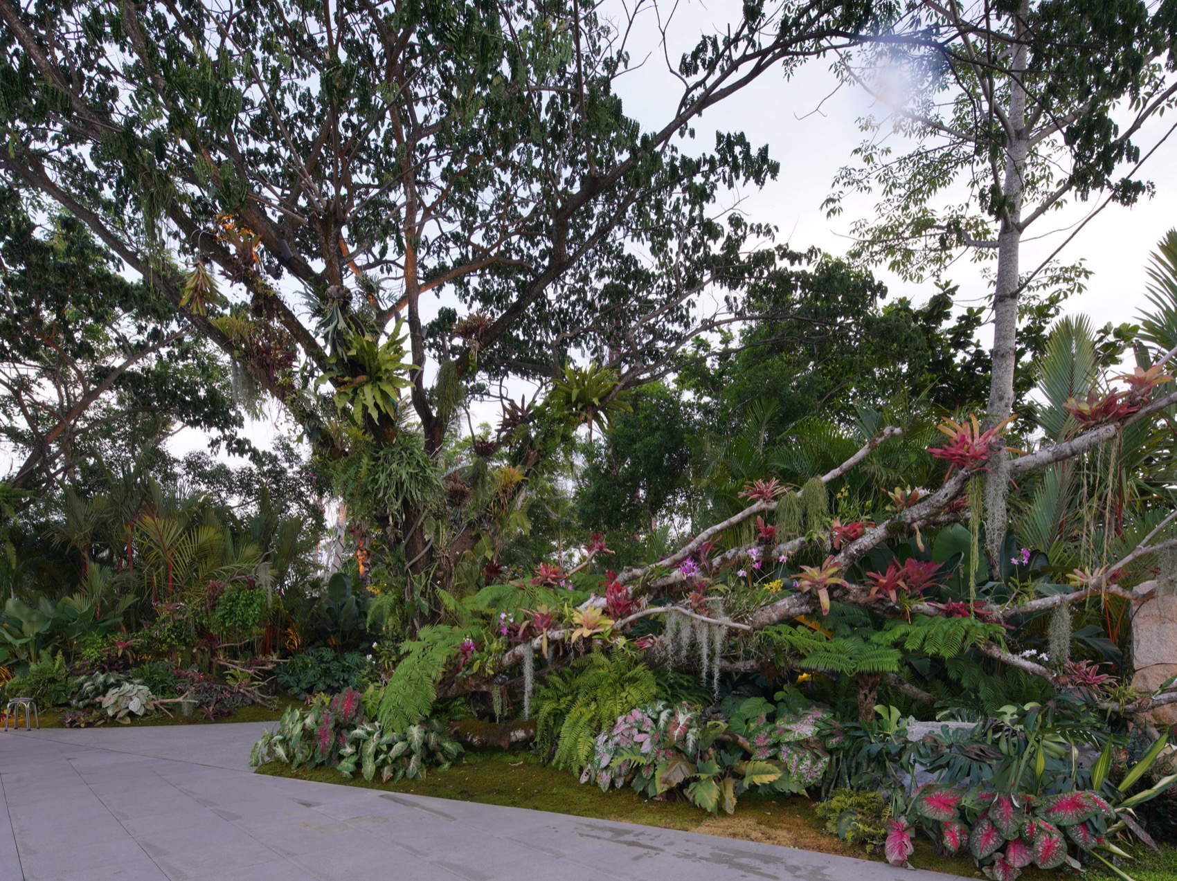 三亚海棠河生态公园阔叶浅溪段的花境生态营造丨中国三亚丨LOLA景观建筑设计事务所-140