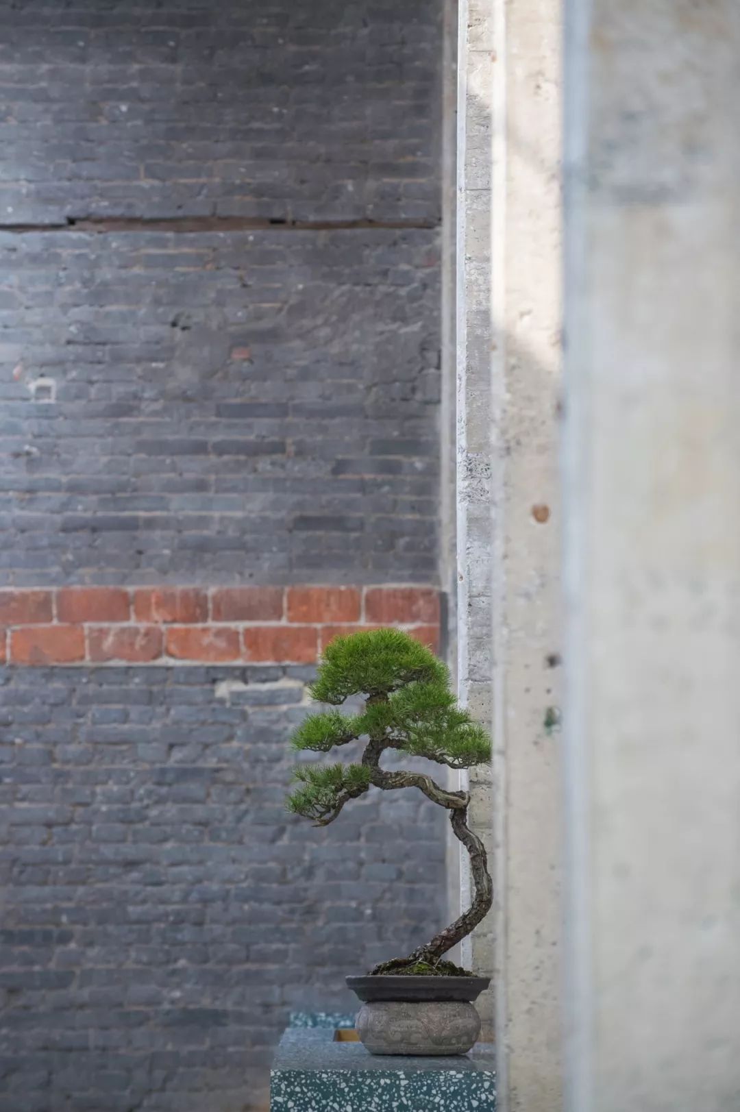 上海廷泰茶空间  Alex Mok - Briar Hickling-38