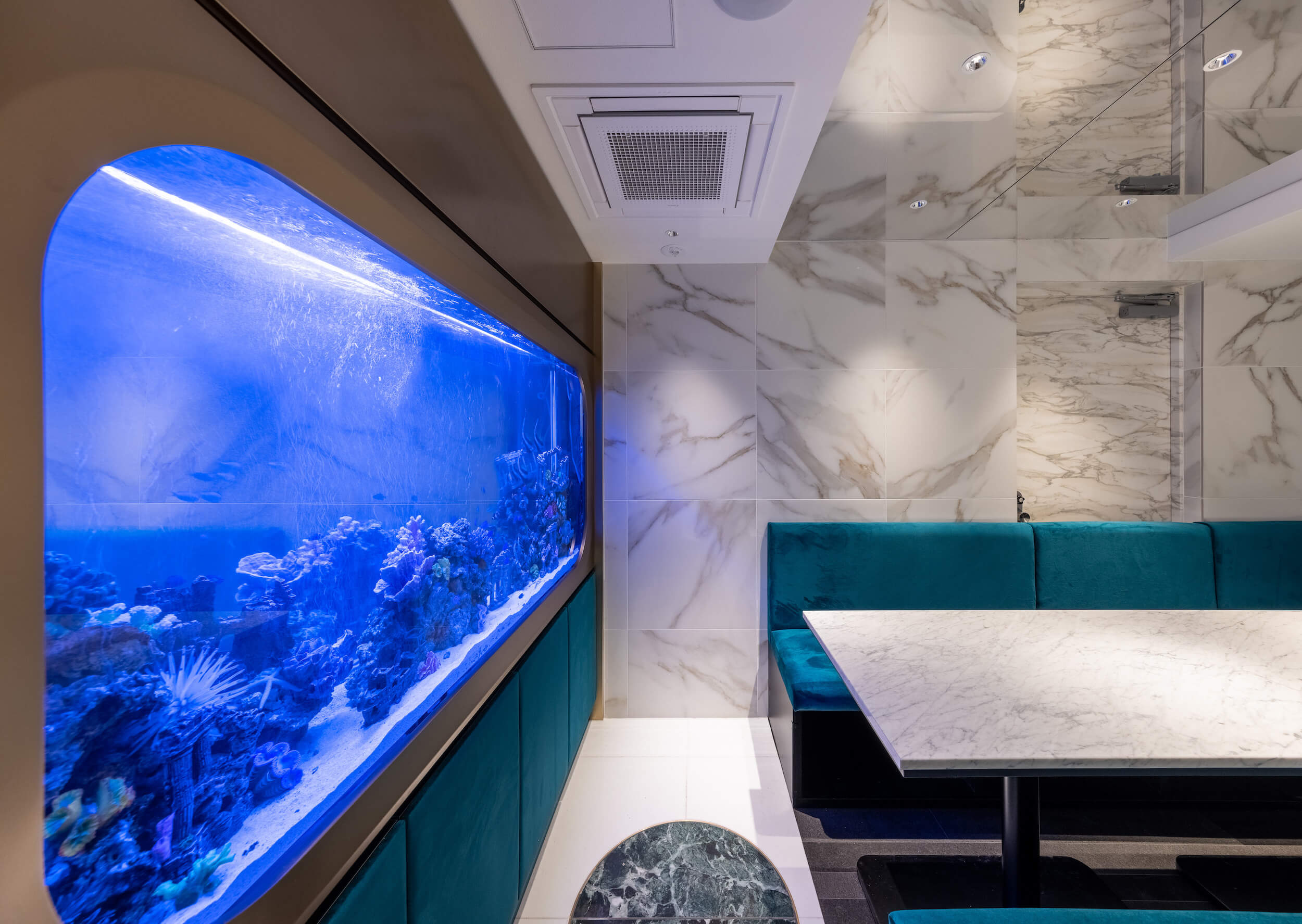 The Grand Blue Express-21