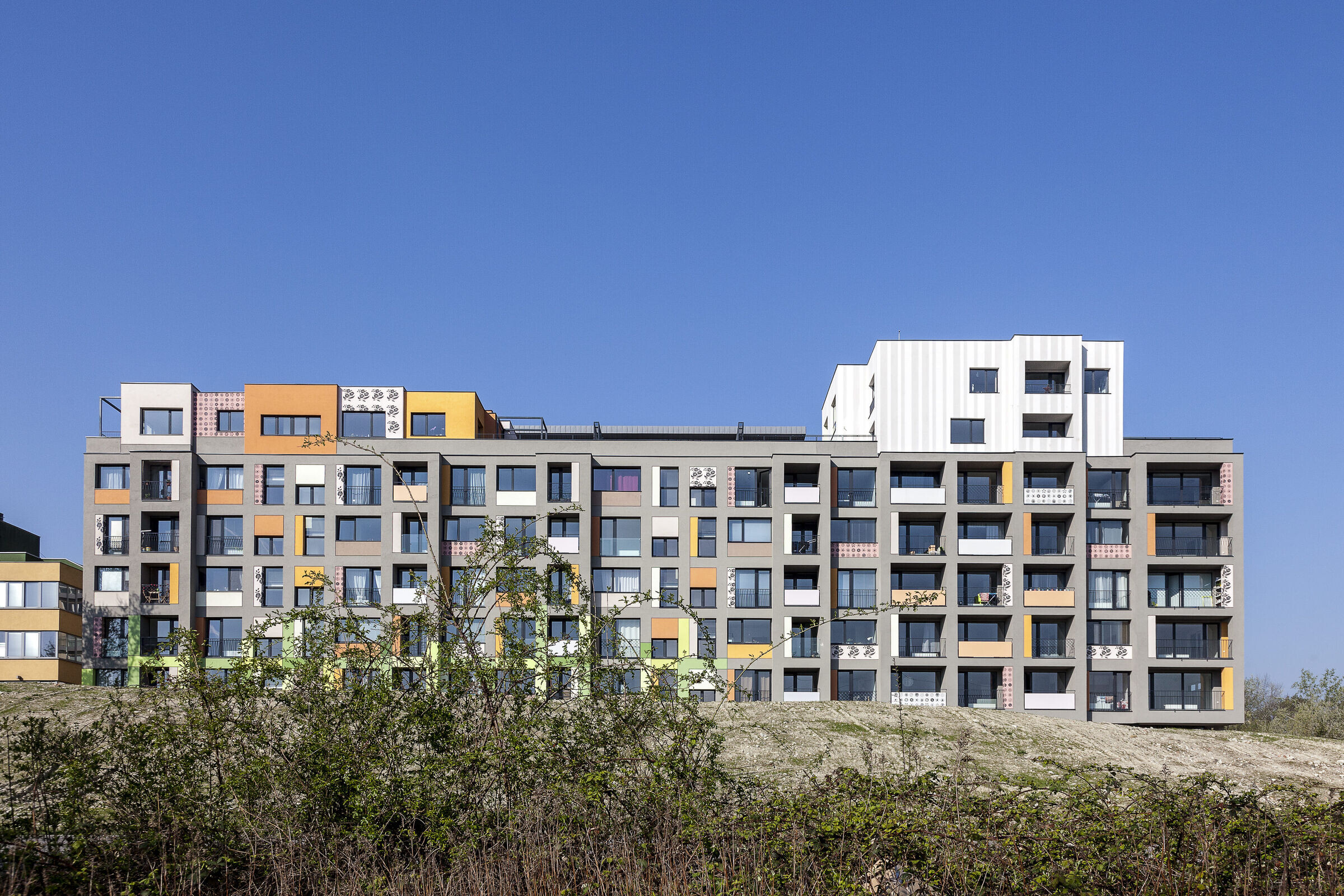 MAMAPAPA 重塑社区凝聚力-24