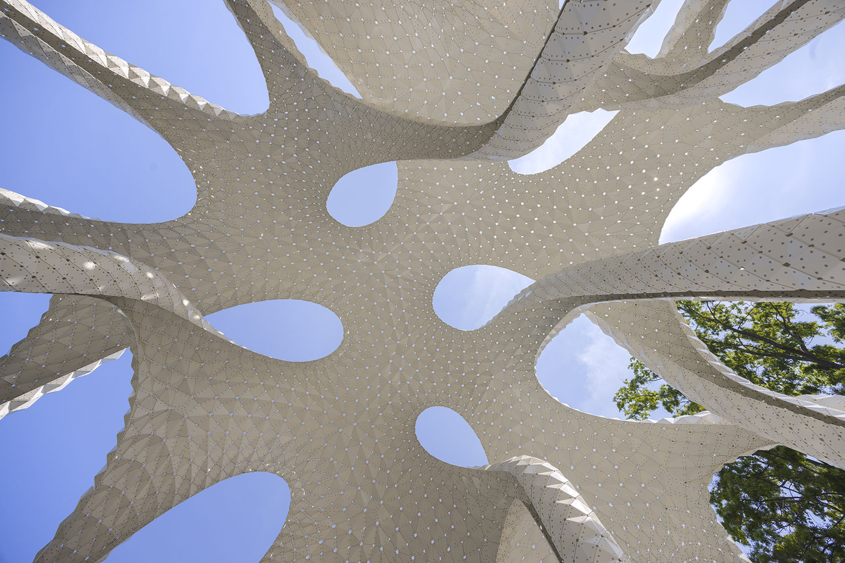 L’île Folie岛亭丨美国北卡罗来纳丨Marc Fornes,THEVERYMANY-30
