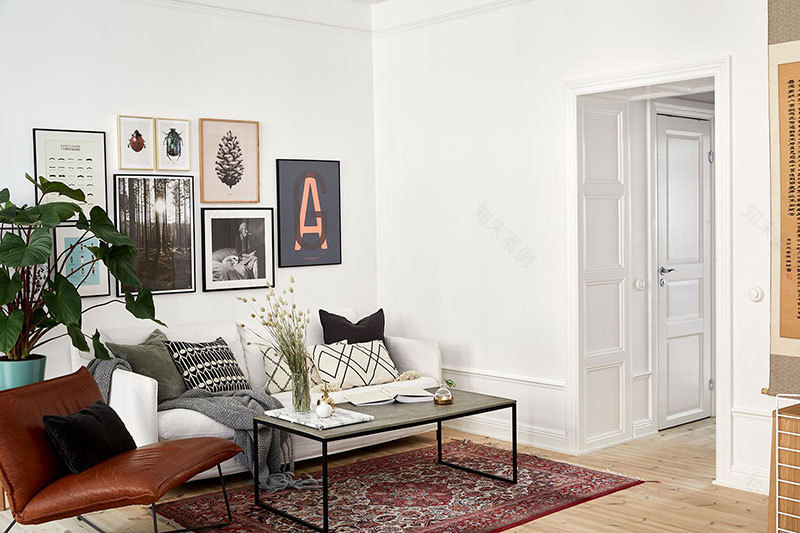 斯德哥尔摩黑白公寓,绿植细节打造舒适空间-9