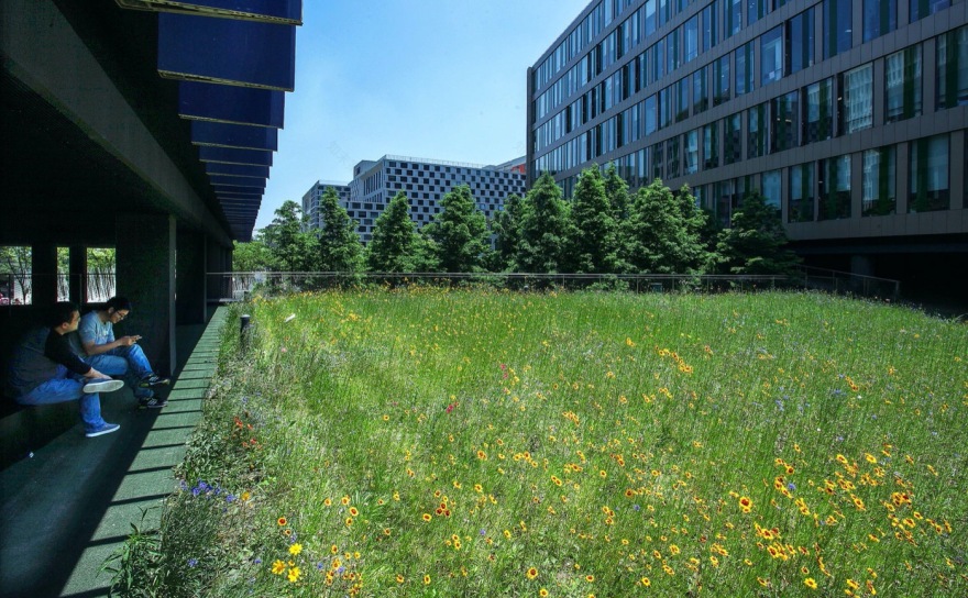 上海创新聚集地 | 天地区域 1 号-13