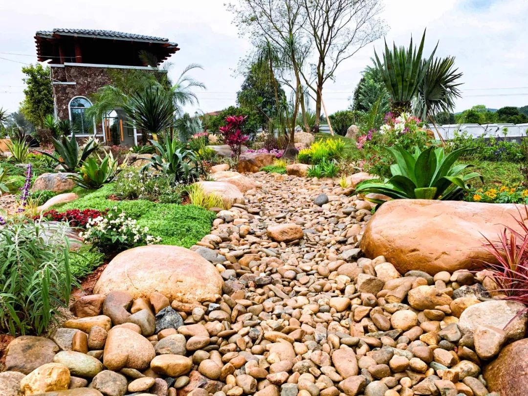 英德红茶小镇头采节展示区 -46