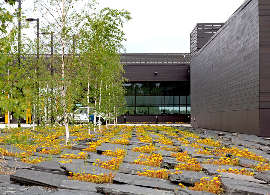 美国 Warroad 陆地港口入境景观设计-5