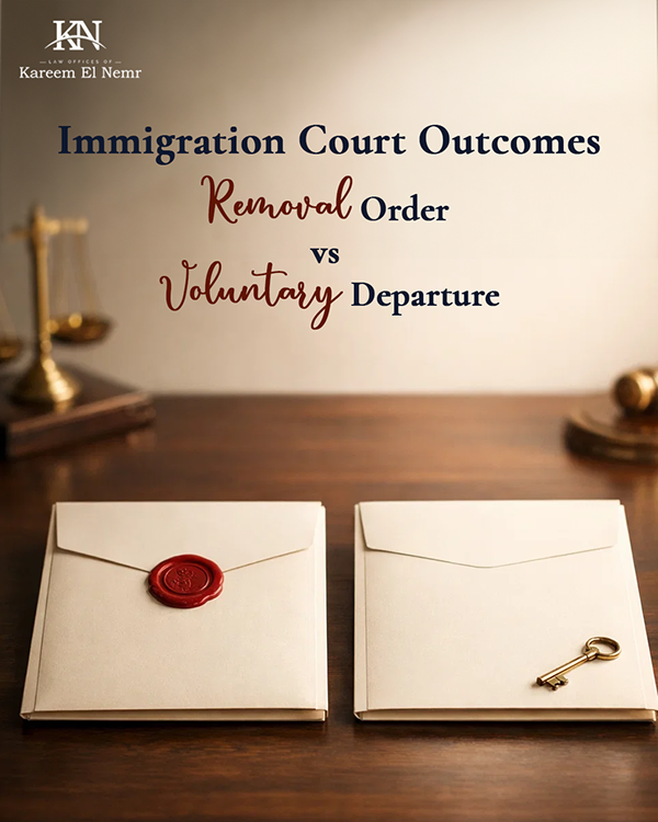 Immigration Law Branding & Content Design-10