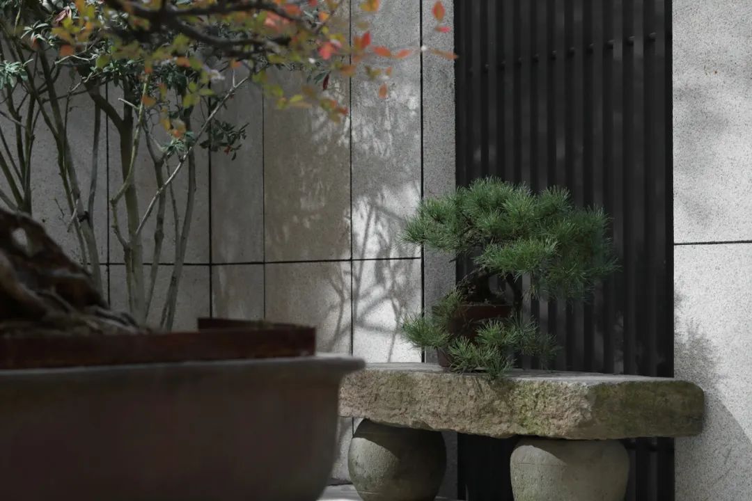 心·自由丨中国厦门丨威尔思装饰-2