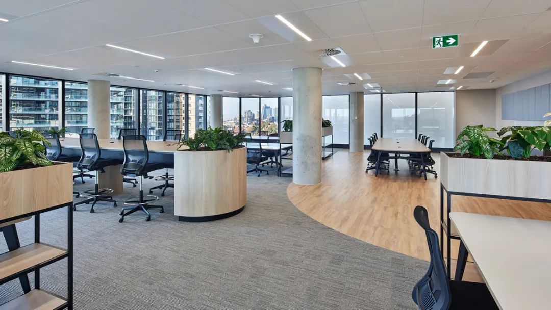 悉尼 JQZ 办公样板间丨澳大利亚悉尼丨Sheldon Interiors-25