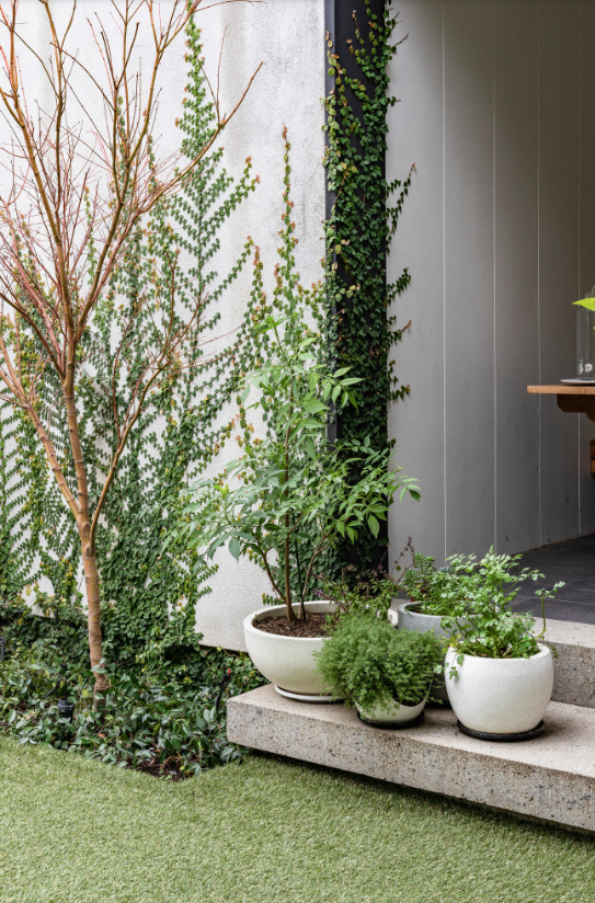 70 年代办公楼改造花园住宅丨澳大利亚丨Furnished 室内设计师 Kirsty Ristevski-27