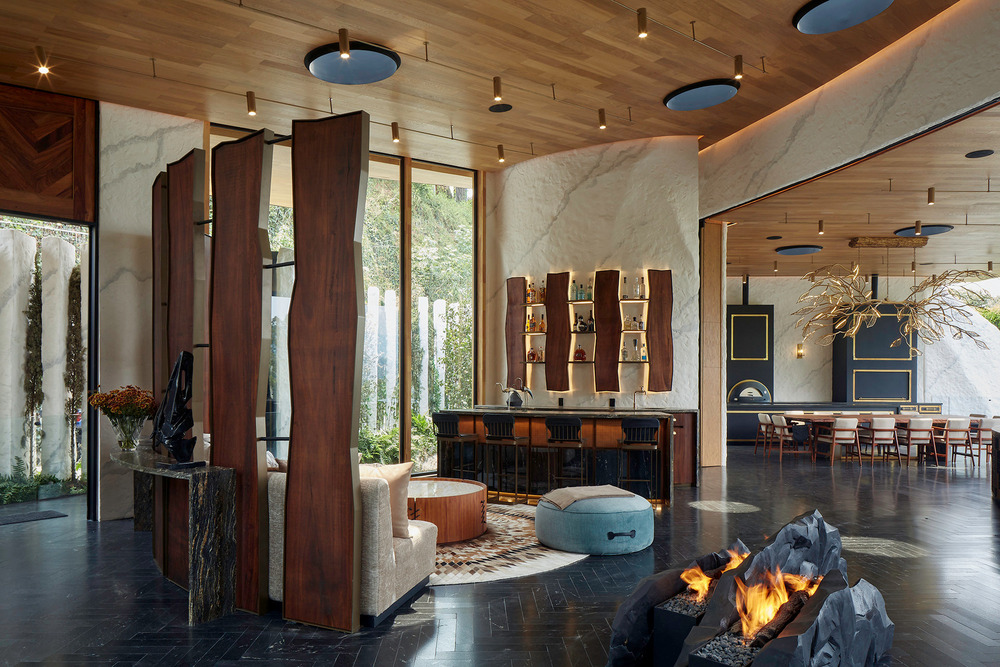 丨墨西哥丨Architect Luciano Gerbilsky及其团队-9