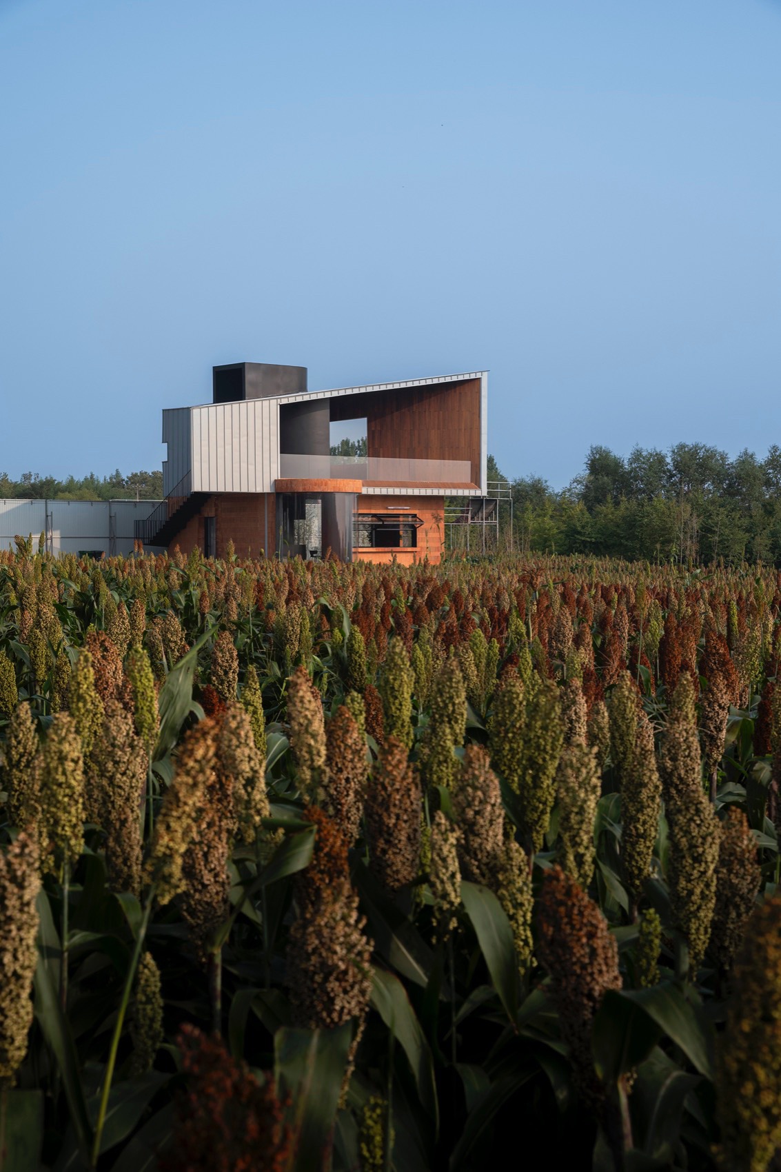 驻龙山风景区BMX小轮车比赛看台丨中国日照丨hyperSity建筑事务所-40