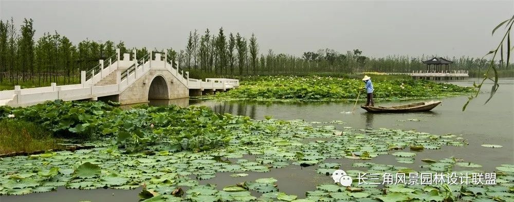 天堂的湿地,湿地的天堂-57