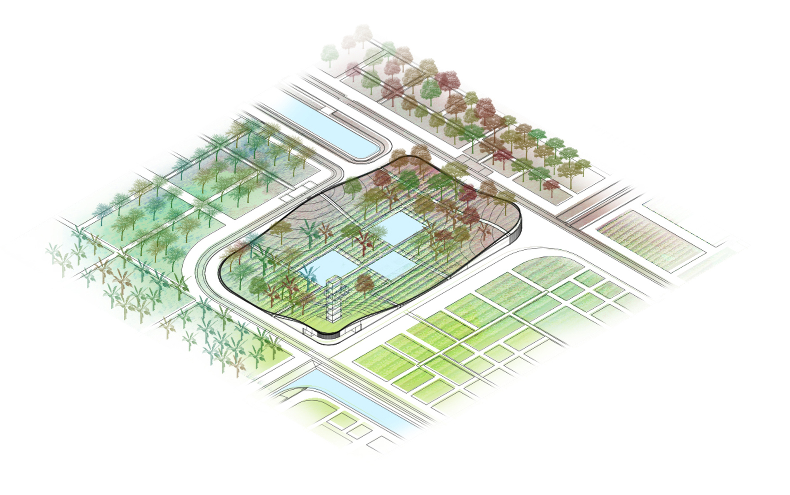 越南 Cuchi 有机农场-24