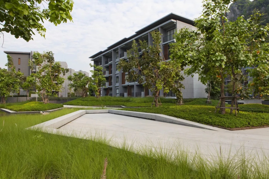 考艾23°庄园景观设计-15