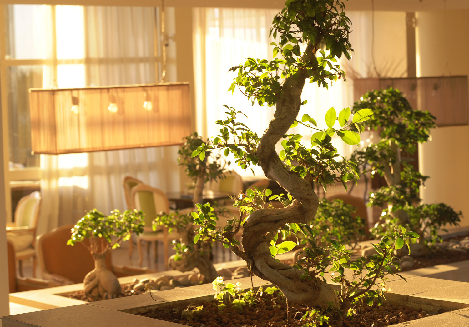 )Le Meridien Limassol Spa - Resort, Limassol, Cyprus-12