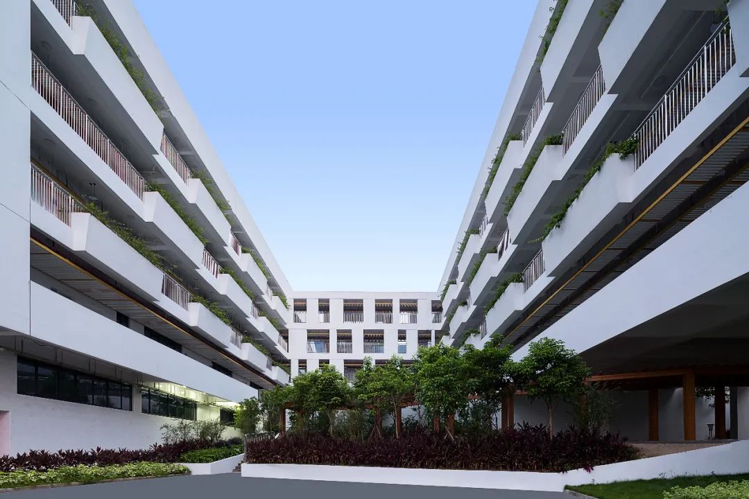 深圳云海学校丨中国深圳-39