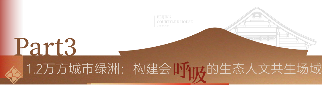 《新闻联播》再度点赞中海！-86