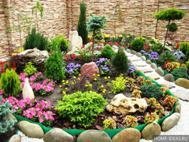 自制阿尔卑斯式假山（阿尔卑斯式花坛）-111