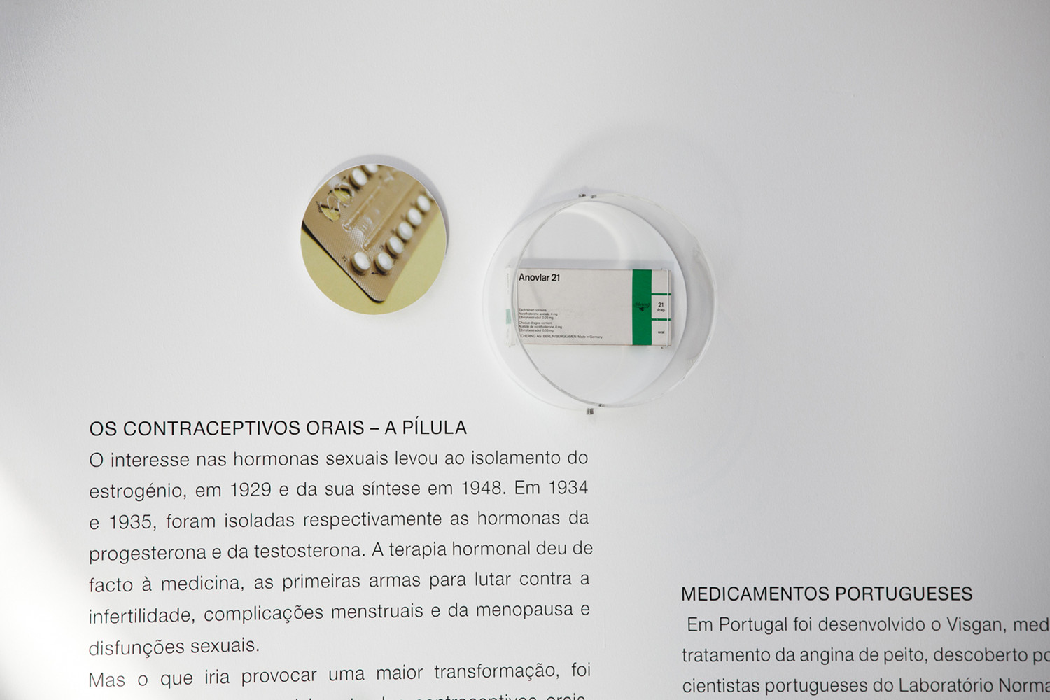 Pharmacy Museum  Site Specific Arquitectura-42