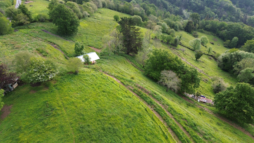 Taller Agropoetico - Foresta Collective / Atelier Poem-41