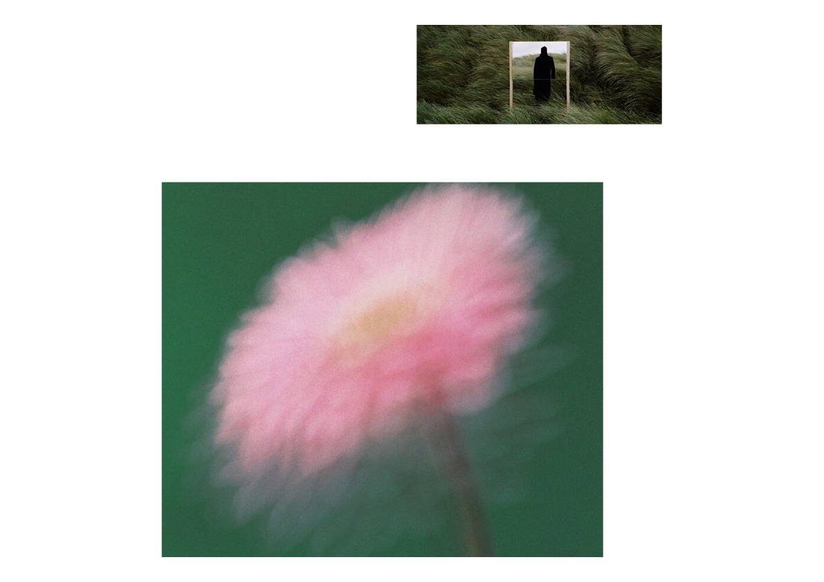 jury project-37