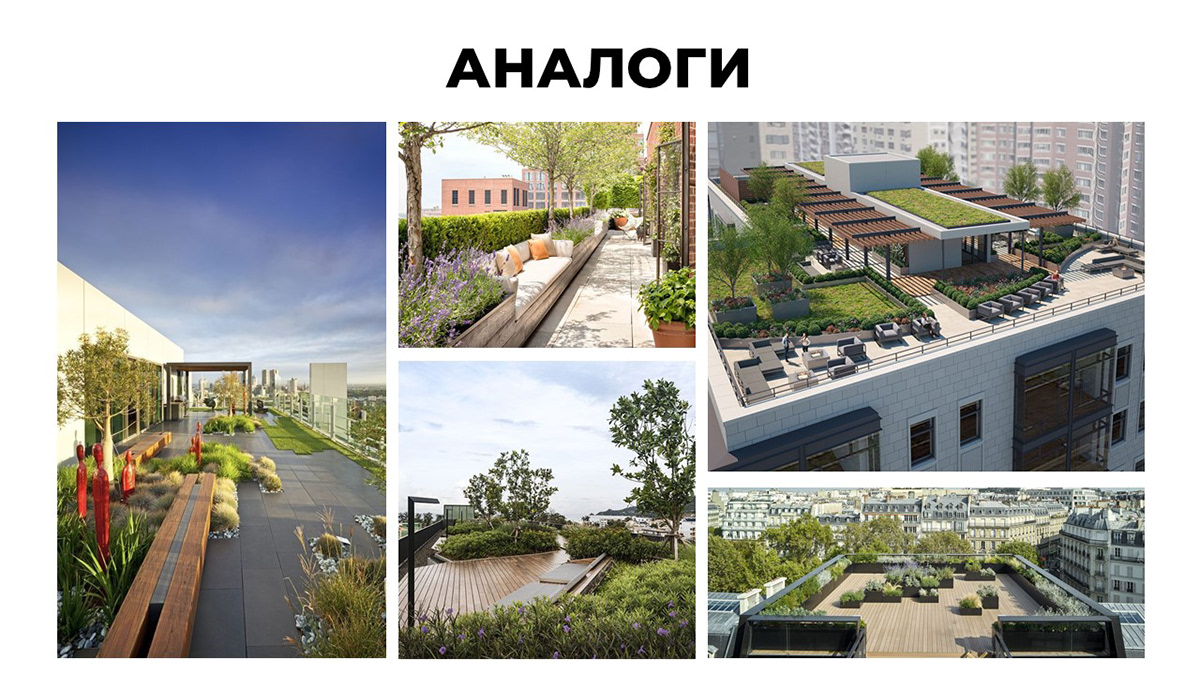 Дизайн-концепция по озеленению крыши-3